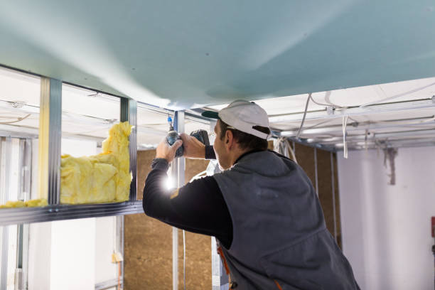 Best Cellulose Insulation in Edgemont Park, MI