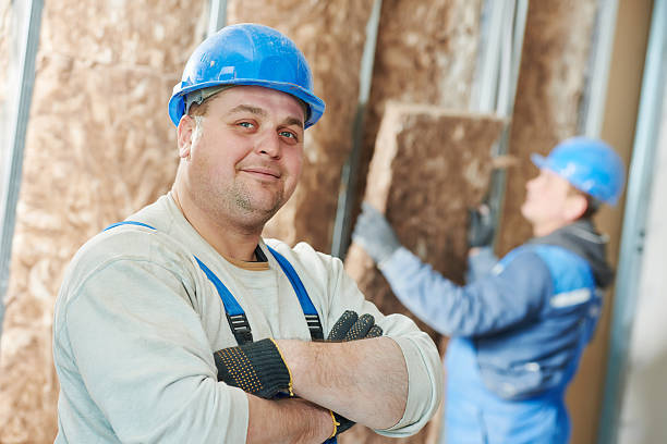 Best Geographic-Specific Insulation Services in Edgemont Park, MI
