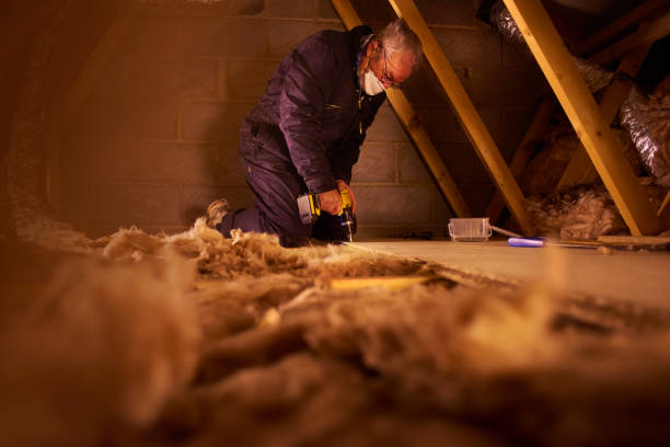 Best Residential Insulation in Edgemont Park, MI